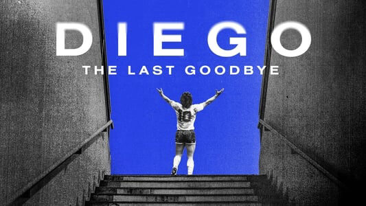 Poster of Diego The Last Goodbye