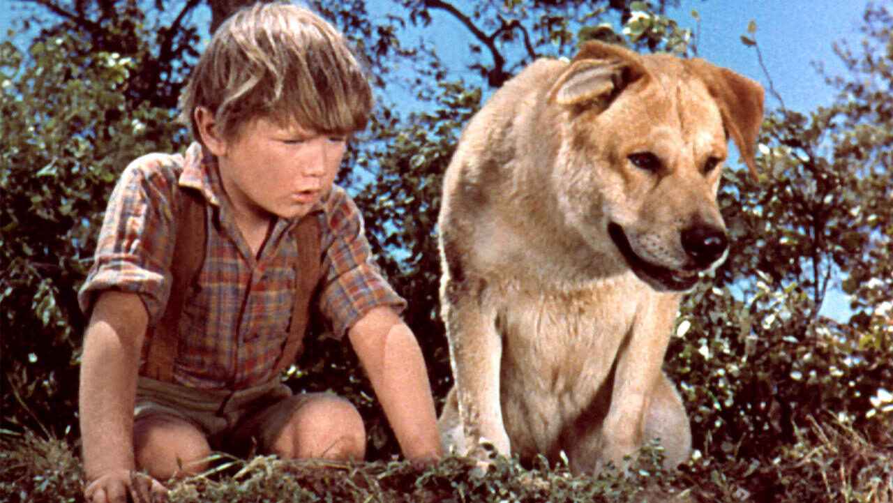 Poster of Old Yeller