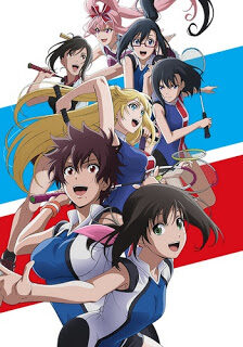 Poster of Hanebado