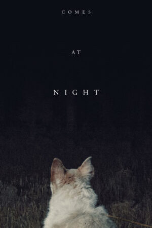 Xem phim Màn Đêm Buông Xuống  - It Comes At Night (2017)