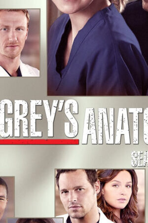 Xem phim Ca Phẫu Thuật Của Grey ( 10)  - Greys Anatomy (Season 10) (2013)