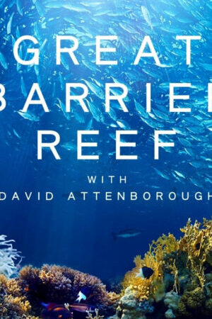 Xem phim Khám Phá Rạn San Hô Great Barrier cùng David Attenborough  - Great Barrier Reef with David Attenborough (2015)