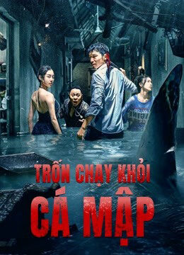 Xem phim Trốn Chạy Khỏi Cá Mập  - Escape of Shark (2021)