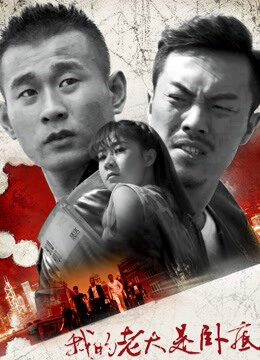 Xem phim Đại ca của tôi là dân nằm vùng  - My Leader Is Undercover (2017)