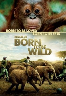 Xem phim Những Loài Vật Mồ Côi  - Born to Be Wild (2011)