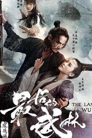 Xem phim Nhất Đại Lãng Khách  - The Last Wulin (2017)