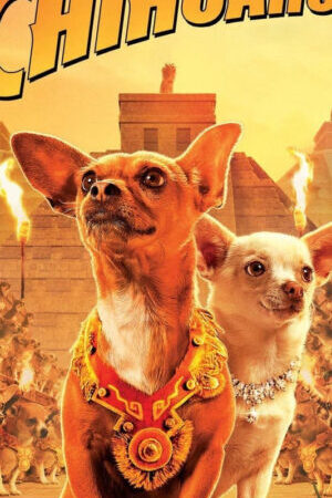 Xem phim Những Chú Chó Chihuahua  - Beverly Hills Chihuahua (2008)