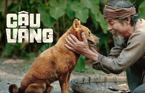 Xem phim Cậu Vàng  - The Old Mans Dog (2021)