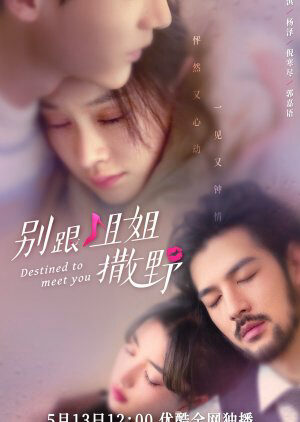 Xem phim Đừng Nhờn Với Chị  - Destined to Meet You (2022)