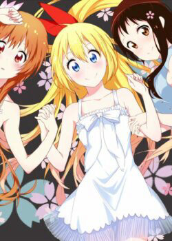 Xem phim Tình Yêu Ngang Trái  - NiseKoi (2013)