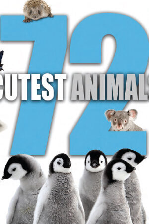 Xem phim 72 loài động vật dễ thương nhất  - 72 Cutest Animals (2016)