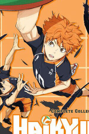 Xem phim Haikyu Chàng khổng lồ tí hon ( 1)  - Haikyu (Season 1) (2015)