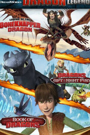 Xem phim DreamWorks Huyền thoại bí kíp luyện rồng  - DreamWorks How to Train Your Dragon Legs (2011)