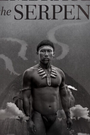 Xem phim Embrace of the Serpent  - Embrace of the Serpent (2015)