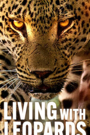 Xem phim Living with Leopards  - Living with Leopards (2024)