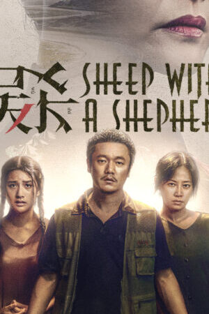 Xem phim Ngộ Sát 2  - Sheep Without A Shepherd 2 (2019)