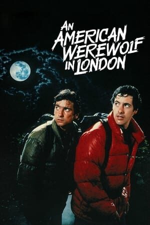 Xem phim Người Sói Mỹ ở London  - An American Werewolf in London (1981)