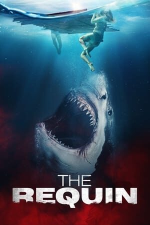 Xem phim Chơi Vơi Giữa Biển Khơi  - The Requin (2022)