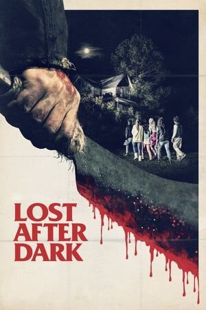 Xem phim Sau Bức Màn Đêm  - Lost After Dark (2014)