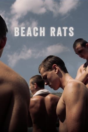 Xem phim Chuột bãi biển  - Beach Rats (2017)