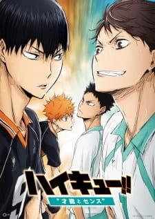 Xem phim Haikyuu Movie 3 Sainou to Sense  - Haikyu The Movie Talent and Sense High Kyuu Movie 3 Haikyuu Movie 3 Genius and Sense Haikyuu Second Season Recap Haikyuu Recap 3 (2017)