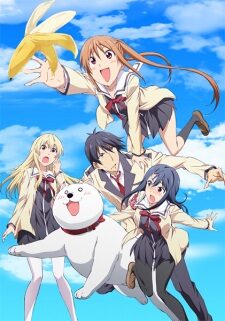 Xem phim Aho Girl  - AHO GIRL Ahogaru Clueless Girl Dummy Girl (2017)