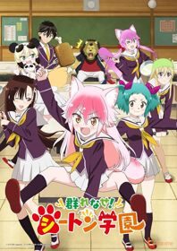 Xem phim Murenase Seton Gakuen  - Seton Academy Join the Pack Come Together to the Seton Academy (2020)