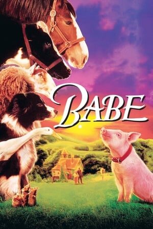 Xem phim Babe Chú Heo Chăn Cừu  - Babe (1995)