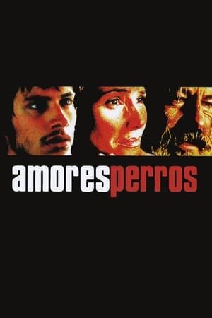 Xem phim Kẻ Vô Đạo  - Amores perros (2000)