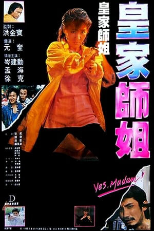 Xem phim Tiêu Diệt Nhân Chứng 2 Nữ cảnh sát hoàng gia  - In the Line of Duty Yes Madam (1985)