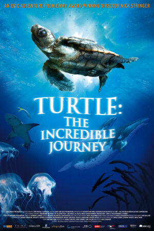 Xem phim Hành Trình Vĩ Đại Của Loài Rùa  - Turtle The Incredible Journey (2011)