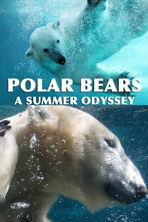 Xem phim Gấu Bắc Cực  - Polar Bears A Summer Odyssey (2012)