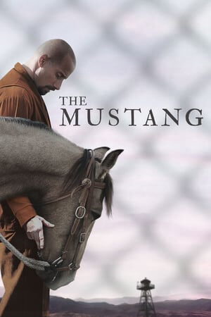 Xem phim Thuần Hóa  - The Mustang (2019)