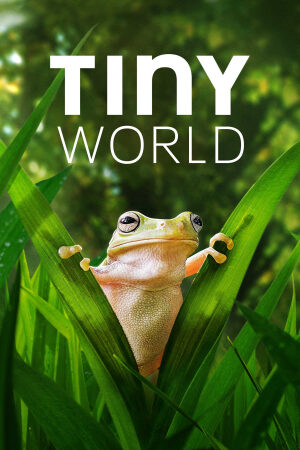 Xem phim Thế Giới Siêu Nhỏ ( 2)  - Tiny World (Season 2) (2020)