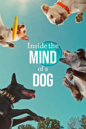 Xem phim Những chú chó nghĩ gì  - Inside the Mind of a Dog (2024)