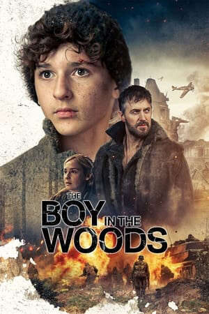 Xem phim Cậu Bé Ở Trong Rừng  - The Boy in the Woods (2023)