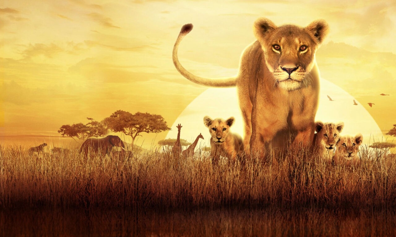 Poster of Serengeti