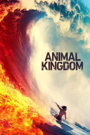 Xem phim Vương Quốc Tội Phạm ( 4)  - Animal Kingdom (Season 4) (2019)