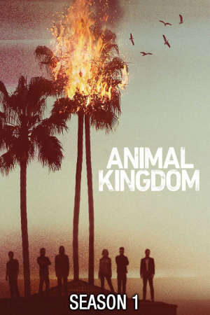 Xem phim Vương Quốc Tội Phạm ( 1)  - Animal Kingdom (Season 1) (2016)