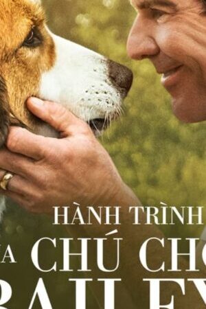 Tập full Hành Trình Của Chú Chó Bailey - A Dogs Journey (2019)-A Dogs Journey