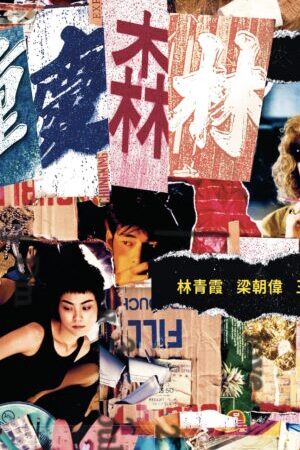 Xem phim Trùng Khánh Sâm Lâm  - Chungking Express (1994)