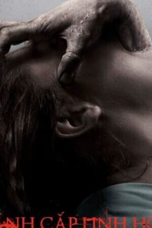 Tập full Đánh Cắp Linh Hồn - The Possession (2012)-The Possession