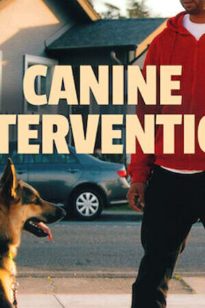 Xem phim Cali K9 Trường huấn khuyển  - Canine Intervention (2021)