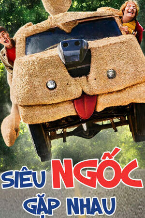 Xem phim Siêu Ngốc Gặp Nhau  - Dumb and Dumber To (2014)