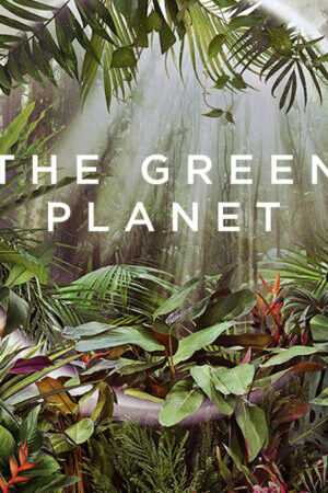 Tập 2 Hành Tinh Xanh - The Green Planet (2022)-The Green Planet