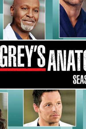 Xem phim Ca Phẫu Thuật Của Grey ( 9)  - Greys Anatomy (Season 9) (2012)