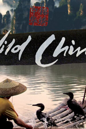 Tập 03 Thiên Nhiên Hoang Dã Trung Quốc - Wild China (2008)-Wild China