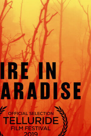 Tập full Hỏa Hoạn Tại Paradise - Fire In Paradise (2019)-Fire In Paradise