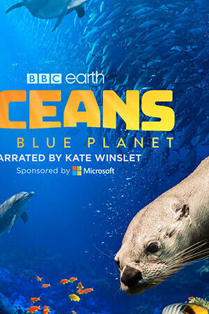 Xem phim Đại Dương Hành Tinh Xanh Của Chúng Ta  - Oceans Our Blue Planet (2018)