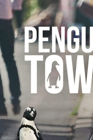 Tập 3 Thị trấn cánh cụt - Penguin Town (2021)-Penguin Town